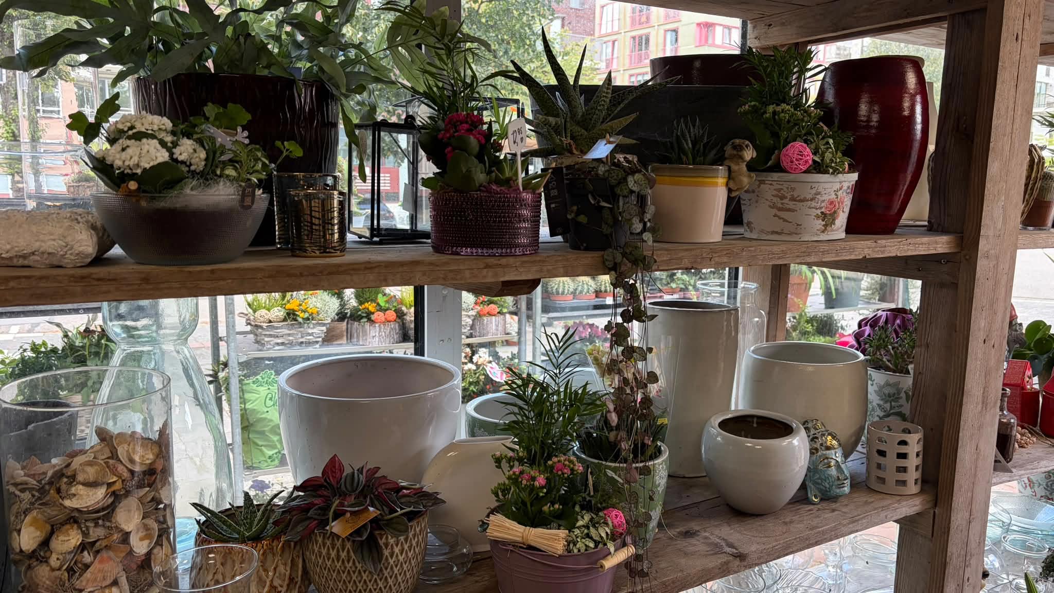 Planten & groen